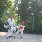 taekwondo 076