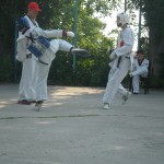 taekwondo 077